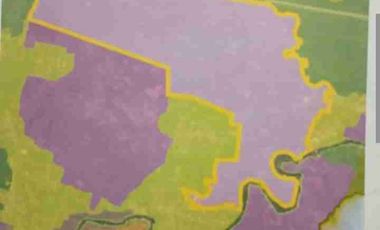 DIJUAL TANAH INDUSTRI BATANG, LUAS 52HA