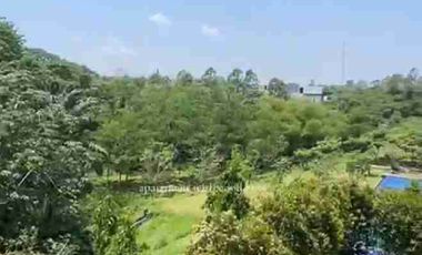 disewakan apartemen 2 bedroom royal tajur