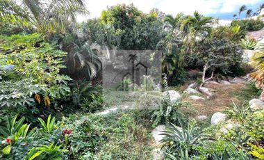 Marina Brisas casa en venta