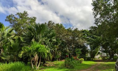 Prime Residential Lot for Sale in Tierra Del Rey Bacolod – 140sqm in Spanish-Themed Gated Subdivision