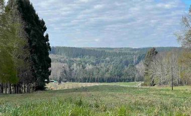 En venta parcelas en Villarrica