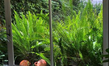 RENTA DEPARTAMENTO UBICADO EN COLINAS DEL PICHINCHA, QUITO