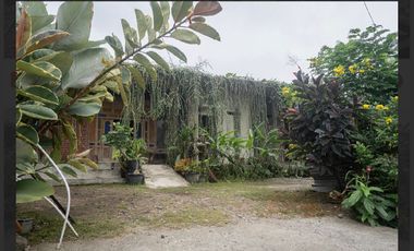 Villa Siap Huni View Gunung Merapi, Biasanya Cuma Lihat di Instagram