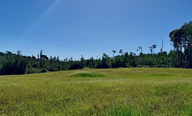 Prados de Estaquilla