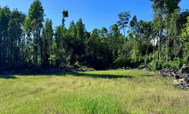 Prados de Estaquilla