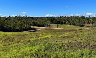 Prados de Estaquilla