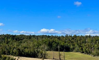 Prados de Estaquilla