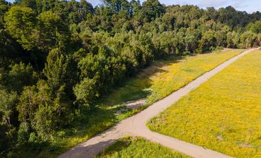 Campo las Lomas, Puerto Varas