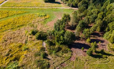 Campo las Lomas, Puerto Varas