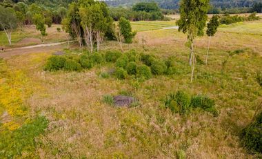 Campo las Lomas, Puerto Varas