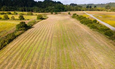 Campo las Lomas, Puerto Varas
