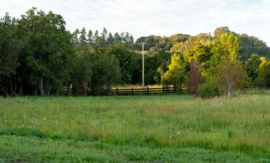 Campo las Lomas, Puerto Varas