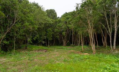 Campo las Lomas, Puerto Varas