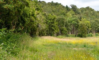 Campo las Lomas, Puerto Varas