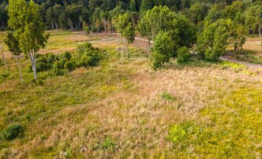 Campo las Lomas, Puerto Varas