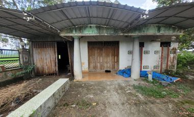 Rumah Strategis dan Murah di Kawasan Singgahan, Tuban dekat dengan Air Terjun Nglirip