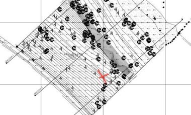 SE VENDE TERRENO ORILLA DE LAGO. LAGO RANCO