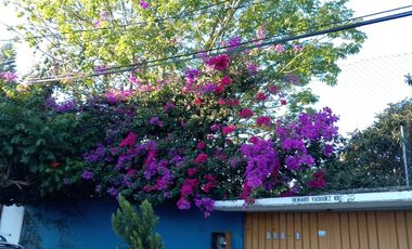 Oportunidad de inversion casa 2 recamaras 1 baño en venta en Xochimilco