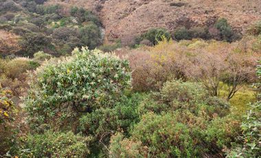 RESIDENCIAL LOMAS VERDES SEXTA SECCION