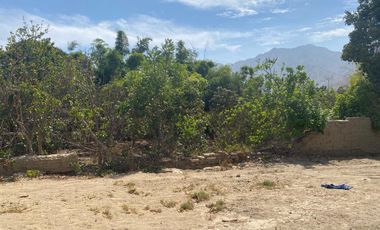 Terreno para uso agrícola o casa huerta