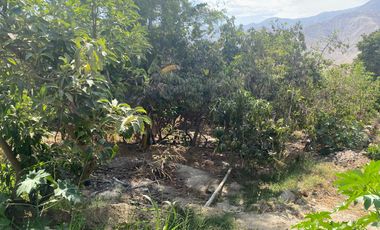 Terreno para uso agrícola o casa huerta