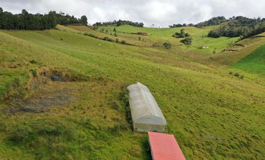 OPORTUNIDAD DE INVERSION RURAL - FINCA DE 25 CUADRAS EN LA UNION