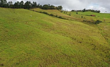 OPORTUNIDAD DE INVERSION RURAL - FINCA DE 25 CUADRAS EN LA UNION