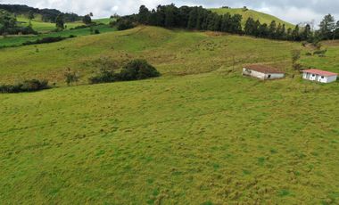 OPORTUNIDAD DE INVERSION RURAL - FINCA DE 25 CUADRAS EN LA UNION