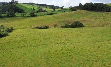 OPORTUNIDAD DE INVERSION RURAL - FINCA DE 25 CUADRAS EN LA UNION