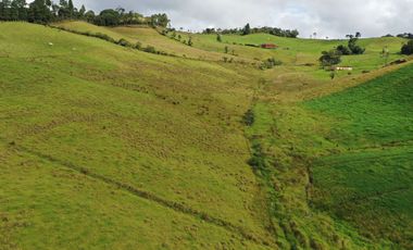 OPORTUNIDAD DE INVERSION RURAL - FINCA DE 25 CUADRAS EN LA UNION