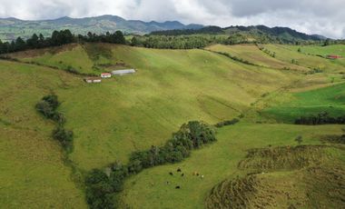 OPORTUNIDAD DE INVERSION RURAL - FINCA DE 25 CUADRAS EN LA UNION