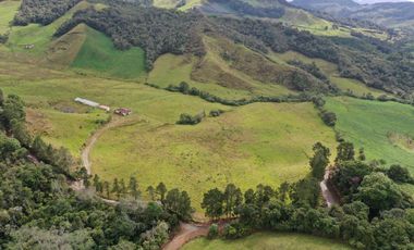 OPORTUNIDAD DE INVERSION RURAL - FINCA DE 25 CUADRAS EN LA UNION
