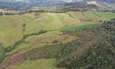 OPORTUNIDAD DE INVERSION RURAL - FINCA DE 25 CUADRAS EN LA UNION