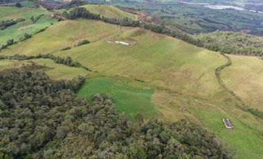 OPORTUNIDAD DE INVERSION RURAL - FINCA DE 25 CUADRAS EN LA UNION