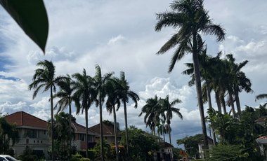 396 sqm lot for sale in VERDANA HOMES BACOOR @ 80k per sqm only!