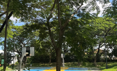 396 sqm lot for sale in VERDANA HOMES BACOOR @ 80k per sqm only!