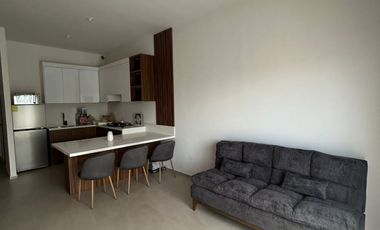 Departamento en renta Torre Olivas