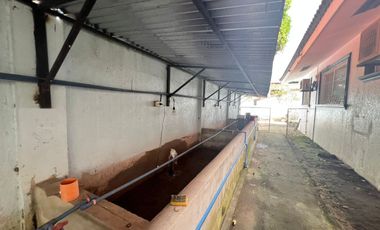 HOUSE AND LOT WITH POOL FOR SALE ID 15071