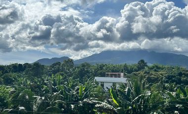 HOUSE AND LOT WITH POOL FOR SALE ID 15071