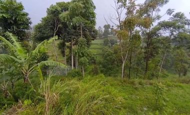 Dijual Tanah Dataran tinggi barunagri Lembang