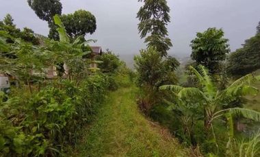 Dijual Tanah Dataran tinggi barunagri Lembang