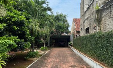 TANAH DISEWAKAN COCOK UNTUK USAHA