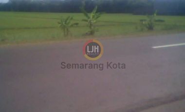 Kavling untuk industri di Sayung