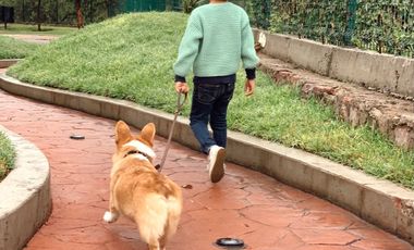 4 RECAMARAS CASA EN VENTA POCITOS, JESUS MARIA, AGUASCALIENTES