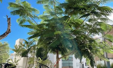 4 RECAMARAS CASA EN VENTA POCITOS, JESUS MARIA, AGUASCALIENTES