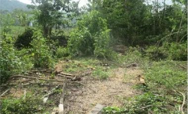 Jual Tanah Gowa Makassar, Luas Tanah 31,250 m2, Dekat dengan Wisata Anggur Organic