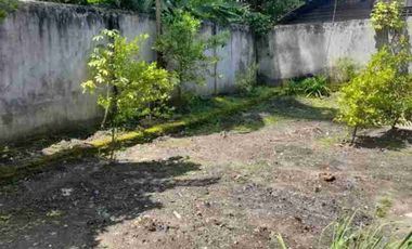 Rumah di bambu kuning, Hangtuah, Pekanbaru