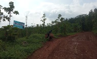 tanah murah  dijual 12000m2 dekat citra maja