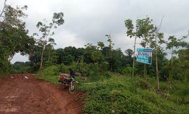 tanah murah  dijual 12000m2 dekat citra maja