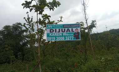 tanah murah  dijual 12000m2 dekat citra maja